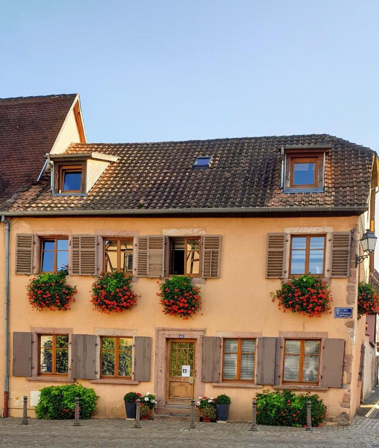 Chez Laurette A Bergheimアパートメント エクステリア 写真